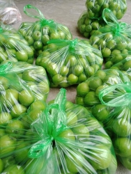 Hàng Đa Dạng Độc Đáo tại Quảng Nam