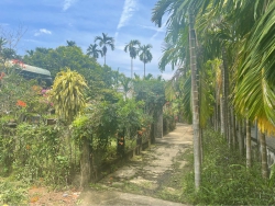 Cần tiền nên bán nhanh lô đất Đại Nghĩa gần thị trấn Ái Nghĩa tại Quảng Nam