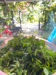 Giờ đi ship khách nhé, chú ý đt giúp em nè tại Quảng Nam