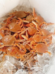 Ghe Vo Tre Duoc It Ghe Em Xa Nhanh Za Re  A tại Quảng Nam