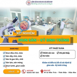 Bệnh viện Đa khoa khu vực Quảng Nam triển khai dịch vụ chẩn đoán và điều trị bệnh giun sán tại Quảng Nam