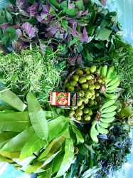 Cuốn miếng cá, cắn miếng sung nữa thì chỉ có 2 từ, sung sướng thôi ạ tại Quảng Nam
