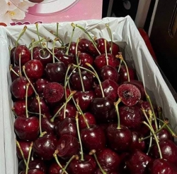 Menu mai toan mon re sieu ngon nha khach oi gop don nhieu mon mai e giao lun nha tại Quảng Nam