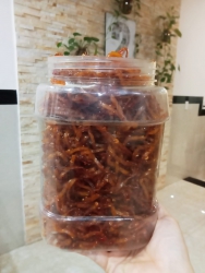 Bán Đồ Chơi Ô Tô Cực Kỳ Sáng Tạo và Hấp Dẫn tại Quảng Nam