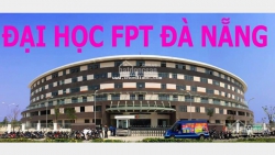 Cần Bán Gấp 200m2 Đất Điện Nam Trung Giáp Trục c8 Đà Nẵng Hội An tại Quảng Nam