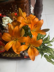 i cây hoa phục vụ rằm cuối cùng của năm tại Quảng Nam
