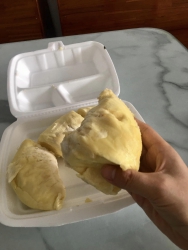 Bán nhà mặt tiền Đường XYZ tại Quảng Nam