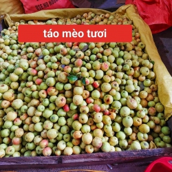 Táo me tại Quảng Nam