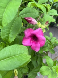 CÔNG TY TNHH TƯ VẤN THIẾT KẾ ĐẦU TƯ XÂY DỰNG 79DESIGN tại Quảng Nam