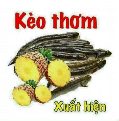 Chỉ 4xx có ngay hơn 100m2 đất Hà Nhuận - Duy Phước tại Quảng Nam