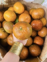 ch thất vọng tại Quảng Nam