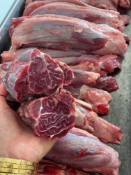 Lên đơn đuôi bò khách ơi tại Quảng Nam