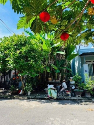 Bán đất đường Nhân Hoà 4, Hoà Xuân tại Quảng Nam