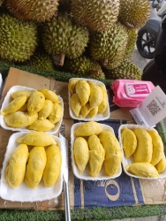 Bánh xác khuyến mãi tại 516 Trần Thủ Độ, Điện Nam Trung tại Quảng Nam