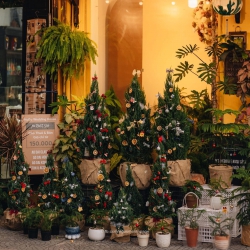 Cho thuê villa tại Cẩm Thanh để kinh doanh tại Quảng Nam