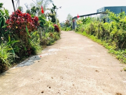 Đất Quý Mỹ Bình Quý Thăng Bình Quảng Nam DT 420m 100m đất ở Cách Đường Dh chính chỉ 30m Sổ hồng tại Quảng Nam