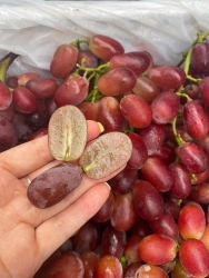 ch ơiii. Vợt giúp em người kí ạ tại Quảng Nam
