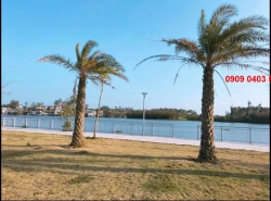 Khu dân cư AN LOC PHAT với đường nhựa rộng 19.5m và diện tích 100m2 sổ đỏ sẵn sàng tại Quảng Nam