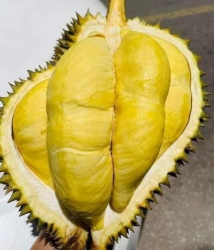 Menu Mai Thứ 5, Tùm Lum Món Ngon tại Quảng Nam