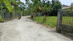 n bông hoa tiền bê tông 4m x 25m tại Quảng Nam