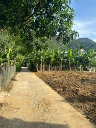 Chính chủ sổ sẵn công chứng, đất sạch đẹp nở hậu nằm sát chợ Đại Hồng tại Quảng Nam