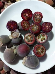  tại Quảng Nam