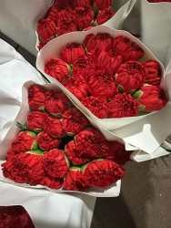 Hoả phăng tại Quảng Nam