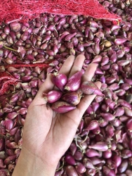 Hành lý sơn giá rẻ tại Quảng Nam