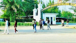 Duy nhat lo re ngay truong DH Phan Chau Trinh va DH FPT thuan tien xay tro cho sinh vien thue tại Quảng Nam