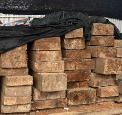 Xá xị Quảng Nam thơm ngát hương tại Quảng Nam