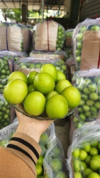 Bán táo Ninh Thuận tại Quảng Nam