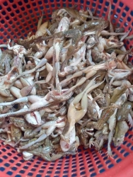 Thu mua đồng. tại Quảng Nam