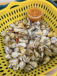 GHE VỚI ỐC SỐNG CHẤT LƯỢNG CAO tại Quảng Nam