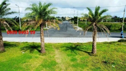 t, đường nhựa 19.5m tại Quảng Nam