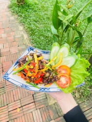 Cuối tuần trời mát mẻ nghỉ ngơi tại Mạ Non cùng khách tại Quảng Nam