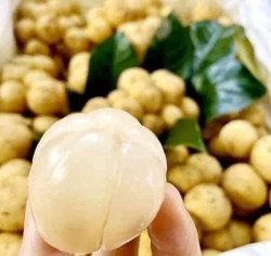 Danh mục Mua bán qua mạng tại Quảng Nam