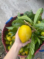  tại Quảng Nam