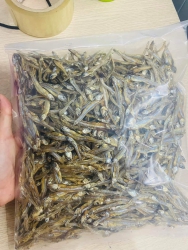  tại Quảng Nam