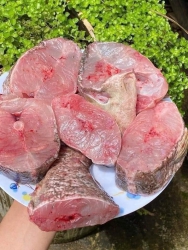 Cá Mú Tươi Bán Rẻ tại Quảng Nam