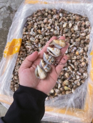 MAI ỐC HẠ ZÁ . KHÁCH LÊN ĐƠN MAI EM SHIP SỚM NGENNN tại Quảng Nam