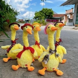 i Giọng - Vui Cười và Âm Nhạc! tại Quảng Nam