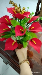 Điện Phước sát rạt trục Nguyễn Thành Ý tại Quảng Nam