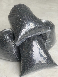  tại Quảng Nam