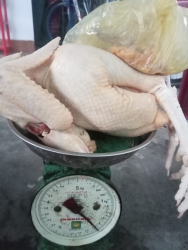 139k C làm sạch sẽ 1 8_2 kg Lòng mề đay đủ tươi đặt mới làm nhé Kho sả rang mặn hay roty nhức nách tại Quảng Nam