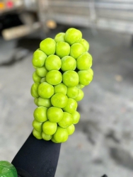 Menu Mai Thứ 5 Tưng Bừng Món Ngon Mà Rẻ tại Quảng Nam
