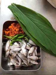 Cá cấn tại Quảng Nam