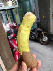 Me dốt bột chuẩn Thái Lan, hàng nhập, ngọt và trái múp tại Quảng Nam