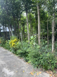 Chính chủ cần bán gấp lô đất mặt tiền Đại Hiệp Đại Lộc Quảng Nam tại Quảng Nam