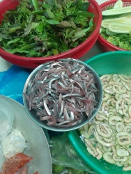 Gỏi cá Lam Ngoc tại Quảng Nam