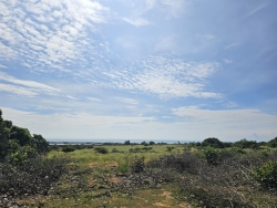 Bán 2100m² đất nông nghiệp Cao Lãnh, gần biển, sổ hồng tại Quảng Nam